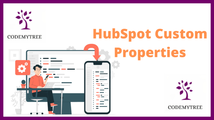 HubSpot Custom Properties