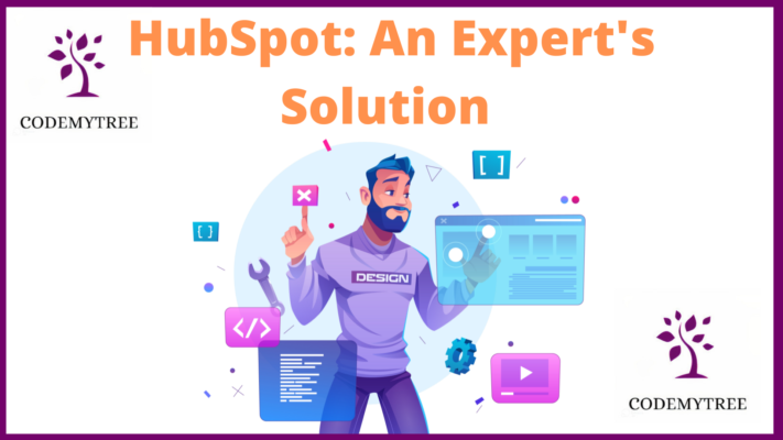 HubSpot An Expert's Solution